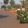 015 otr - border to Kigali